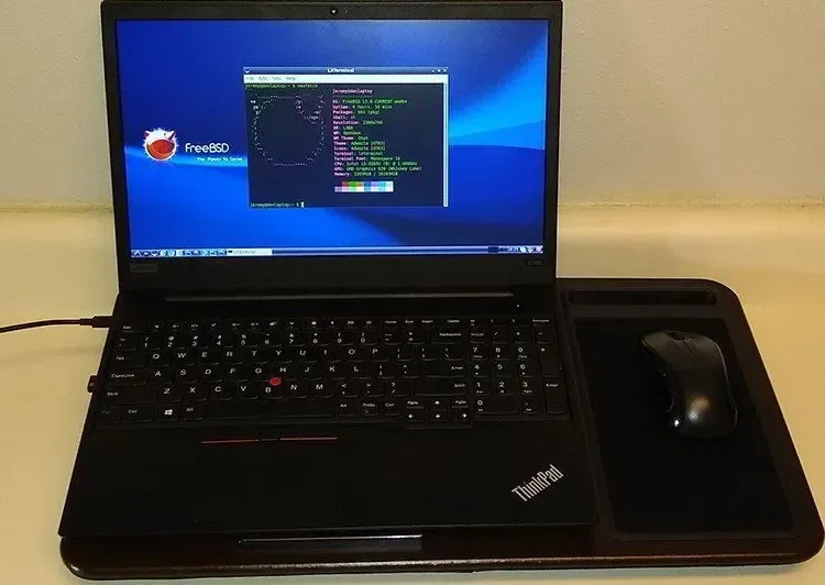 ThinkPad laptop running a terminal application